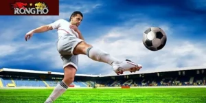 ket-qua-bong-da-newcastle-2